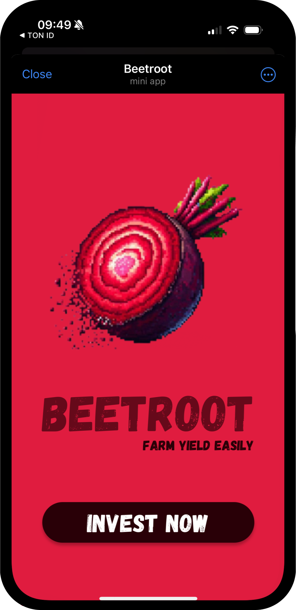 Screenshot of Beetroot Finance